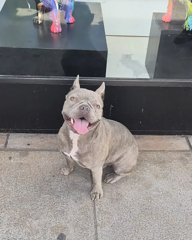 Raja posing on a sidewalk in front of a gallery window